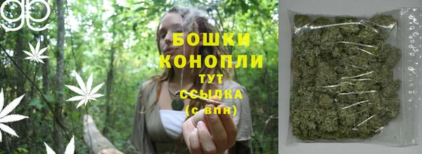 сатива Кодинск