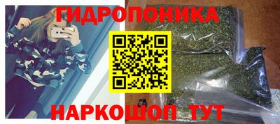 молекула духа Будённовск