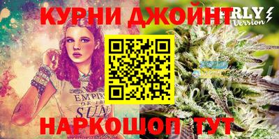 молекула духа Будённовск
