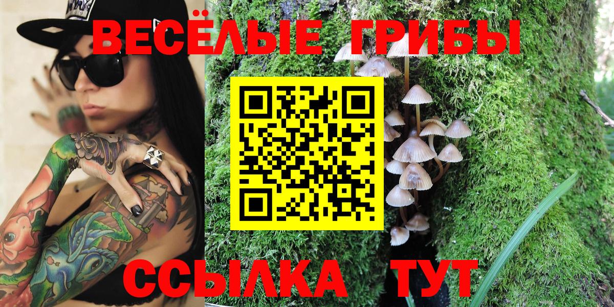 Котельники  Галлюциногенные грибы Psilocybine cubensis  Галлюциногенные грибы мухоморы  Вход с VPN 